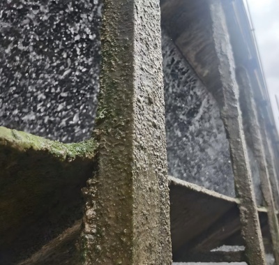 循環(huán)水系統夏季微生物滋生旺盛的原因和解決措施